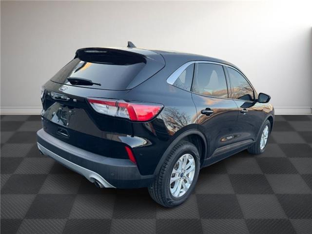2022 Ford Escape SE (Stk: TL49694) in Windsor - Image 6 of 27