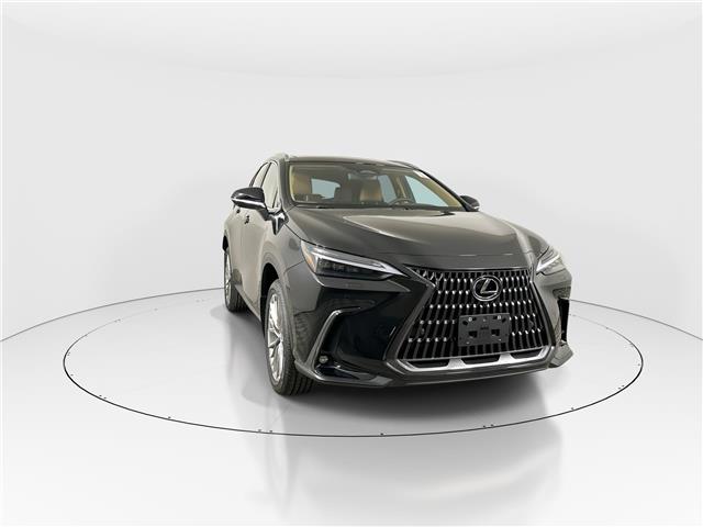 2026 Lexus NX 350  (Stk: 14111614) in Markham - Image 2 of 8