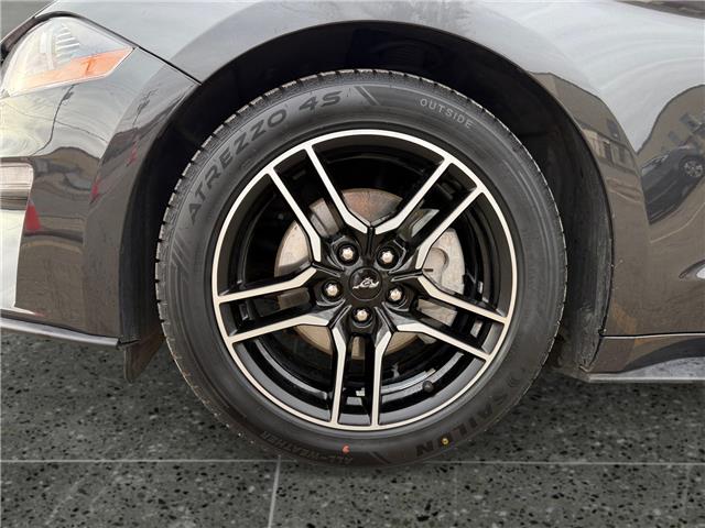 2022 Ford Mustang EcoBoost Premium (Stk: P3270) in Regina - Image 14 of 20