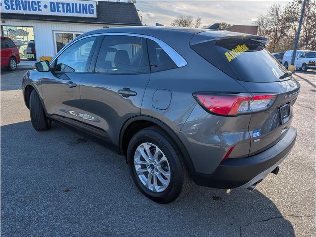 2021 Ford Escape SE (Stk: B1916) in Sarnia - Image 7 of 25