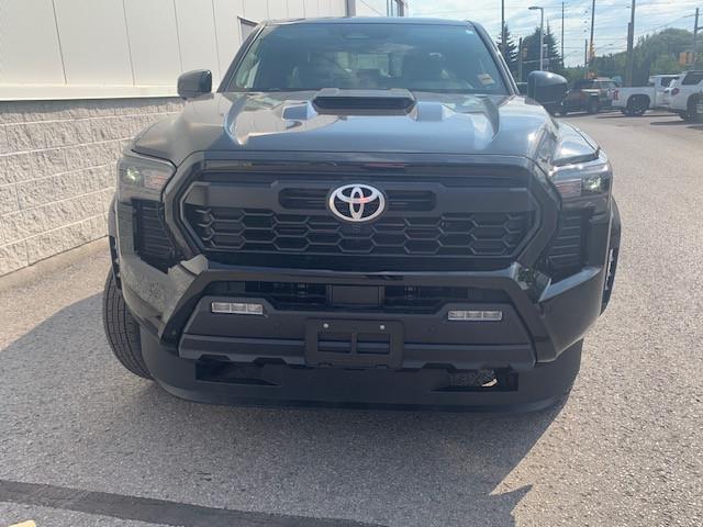 2025 Toyota Tacoma Base (Stk: TB330) in Cobourg - Image 6 of 7