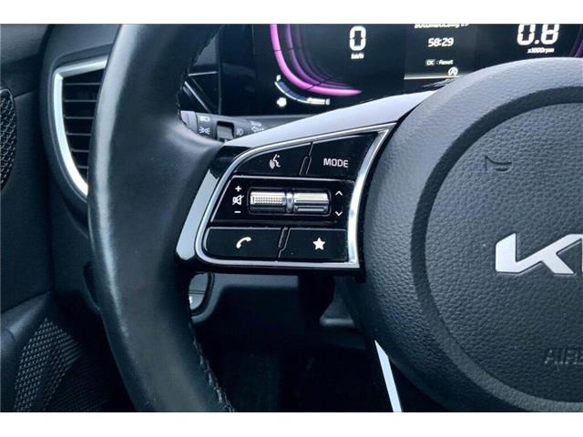 2025 Kia Seltos EX (Stk: 25B2666) in Sherwood Park - Image 16 of 30