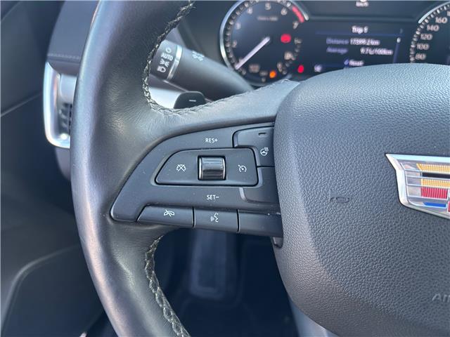 2019 Cadillac XT4 Premium Luxury (Stk: U8957AA) in Uxbridge - Image 13 of 29