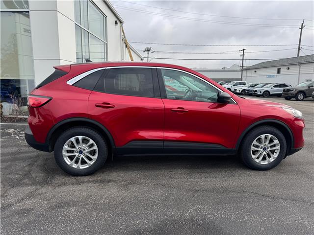 2022 Ford Escape SE (Stk: PRR919) in Amherstburg - Image 5 of 14