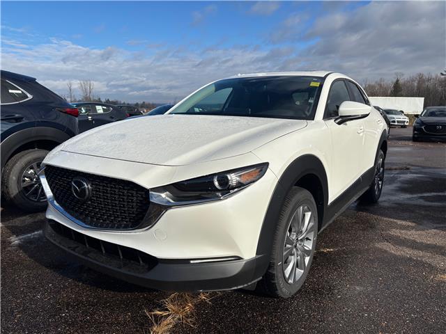 2025 Mazda CX-30 GS (Stk: 225-146) in Pembroke - Image 1 of 6