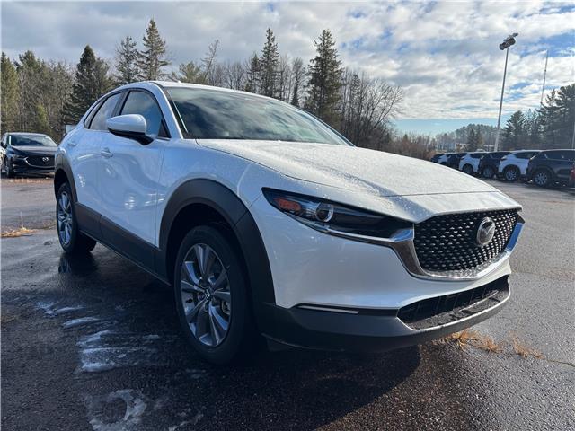 2025 Mazda CX-30 GS (Stk: 225-146) in Pembroke - Image 2 of 6