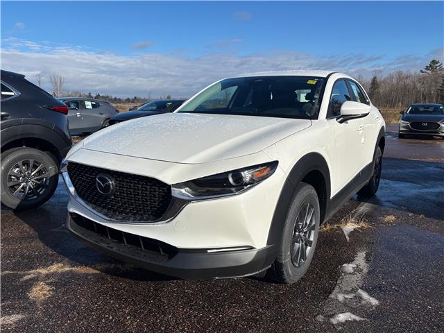 2025 Mazda CX-30 GX (Stk: 225-208) in Pembroke - Image 1 of 6