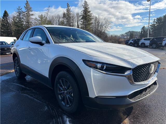 2025 Mazda CX-30 GX (Stk: 225-208) in Pembroke - Image 2 of 6