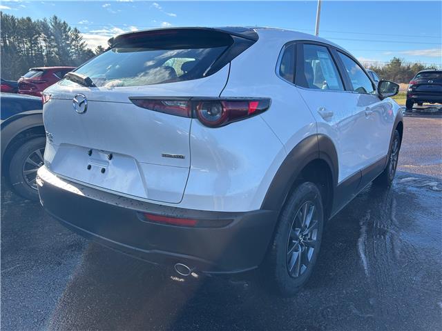 2025 Mazda CX-30 GX (Stk: 225-208) in Pembroke - Image 3 of 6