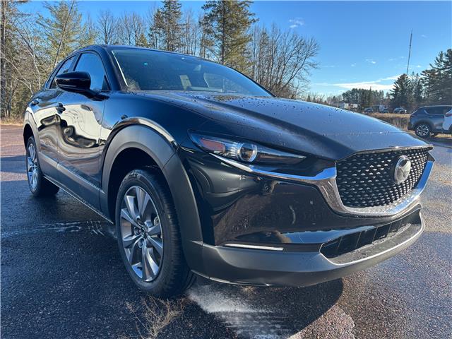 2025 Mazda CX-30 GS (Stk: 225-225) in Pembroke - Image 2 of 6