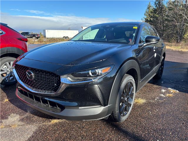 2025 Mazda CX-30 GT (Stk: 225-200) in Pembroke - Image 1 of 6