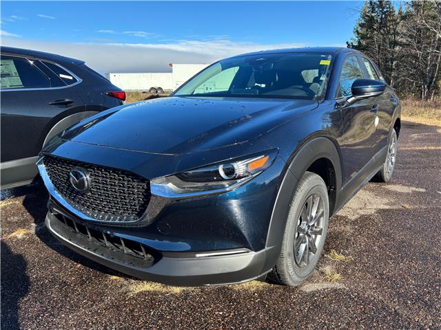 2025 Mazda CX-30 GX (Stk: 225-220) in Pembroke - Image 1 of 6