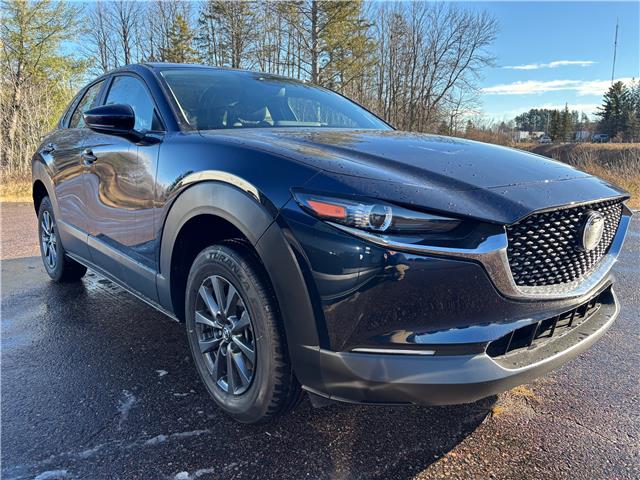 2025 Mazda CX-30 GX (Stk: 225-220) in Pembroke - Image 2 of 6