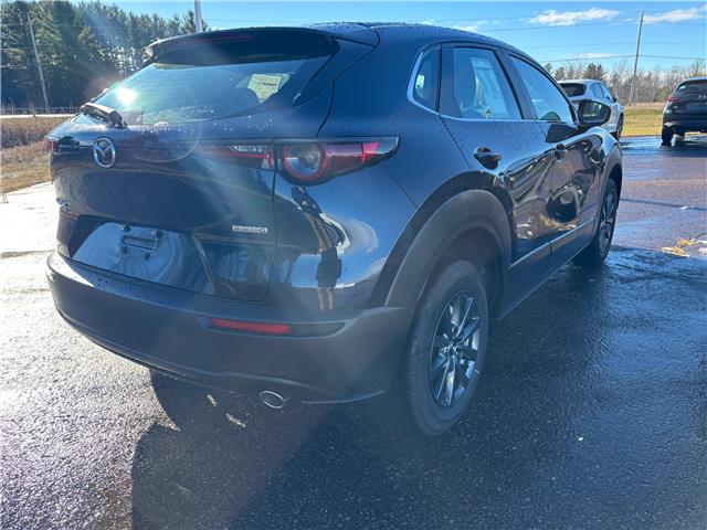 2025 Mazda CX-30 GX (Stk: 225-220) in Pembroke - Image 3 of 6