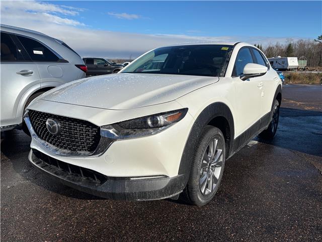 2025 Mazda CX-30 GS (Stk: 225-233) in Pembroke - Image 1 of 6