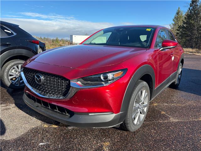 2025 Mazda CX-30 GS (Stk: 225-169) in Pembroke - Image 1 of 6