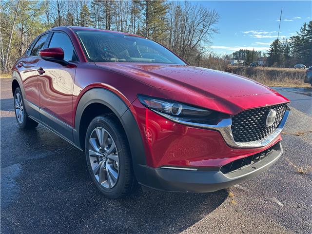 2025 Mazda CX-30 GS (Stk: 225-169) in Pembroke - Image 2 of 6