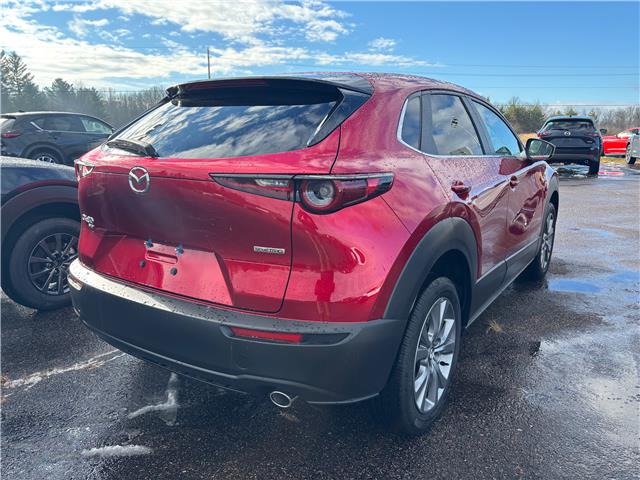 2025 Mazda CX-30 GS (Stk: 225-94) in Pembroke - Image 3 of 6