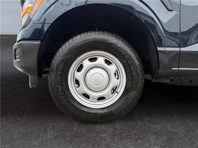 2025 Ford F-150 XL (Stk: 15228) in Golden - Image 16 of 17
