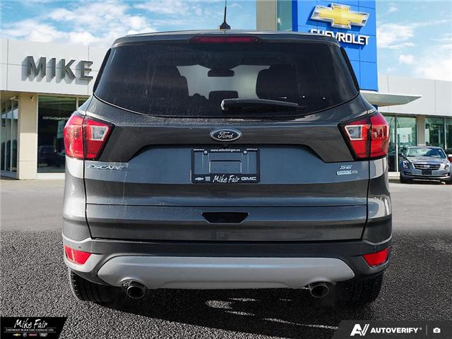 2019 Ford Escape SE (Stk: 25303A) in Smiths Falls - Image 5 of 24