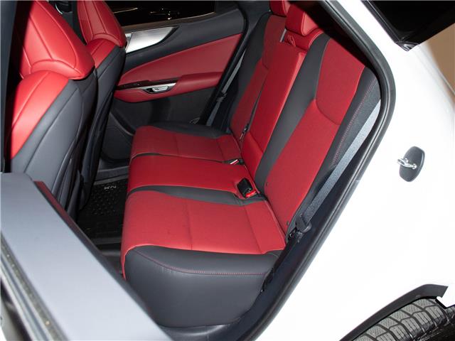 2024 Lexus NX 350 Base (Stk: PL25080) in Kingston - Image 14 of 15
