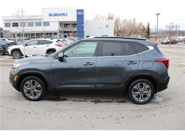 2024 Kia Seltos EX (Stk: SC0237) in Cranbrook - Image 9 of 29 2024 Kia Seltos EX (Stk: SC0237) in Cranbrook - Image 9 of 29