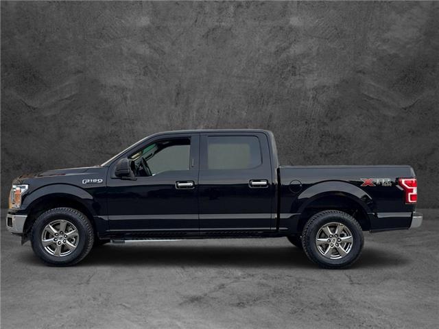 2020 Ford F-150 XLT (Stk: 25P167) in Kamloops - Image 3 of 25