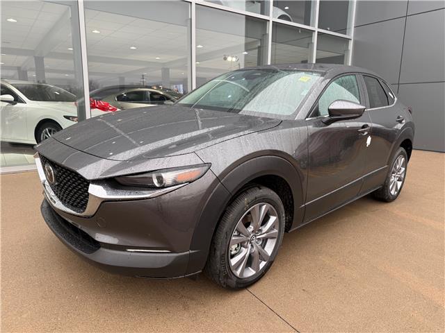 2025 Mazda CX-30 GS (Stk: 225-226) in Pembroke - Image 1 of 6