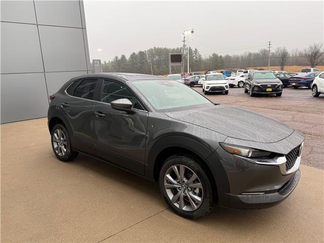 2025 Mazda CX-30 GS (Stk: 225-226) in Pembroke - Image 3 of 6