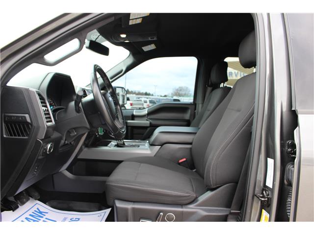 2017 Ford F-150 XLT (Stk: LT258A) in Harrow - Image 8 of 12