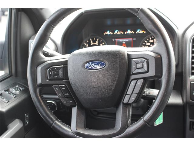 2017 Ford F-150 XLT (Stk: LT258A) in Harrow - Image 11 of 12