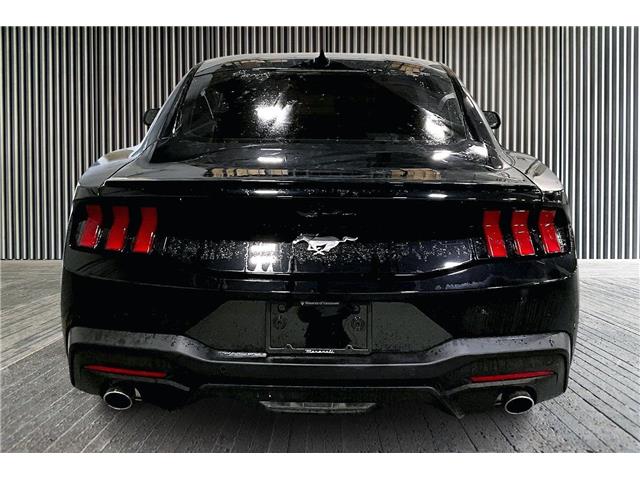 2024 Ford Mustang  (Stk: RU0010) in Richmond - Image 5 of 20