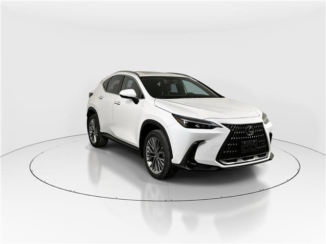 2026 Lexus NX 350  (Stk: 15105073) in Richmond Hill - Image 1 of 19