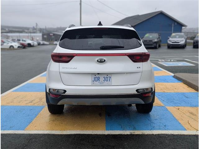 2022 Kia Sportage EX Premium S (Stk: M251004) in Mount Pearl - Image 5 of 20