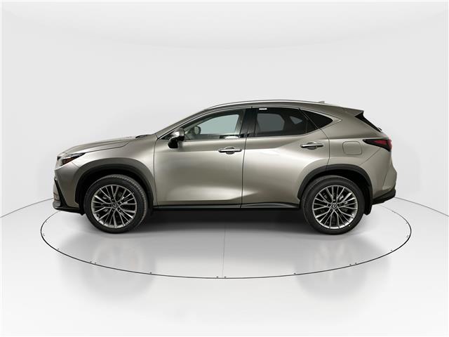 2026 Lexus NX 350 Base (Stk: 15105130) in Richmond Hill - Image 4 of 17