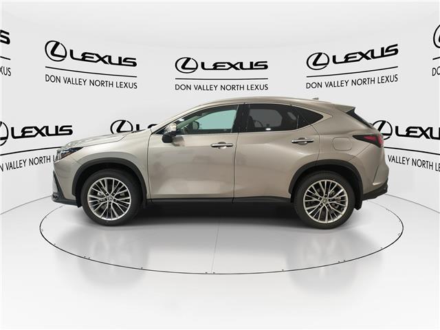 2026 Lexus NX 350  (Stk: 14111078) in Markham - Image 5 of 14