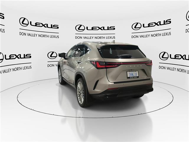 2026 Lexus NX 350  (Stk: 14111078) in Markham - Image 6 of 14