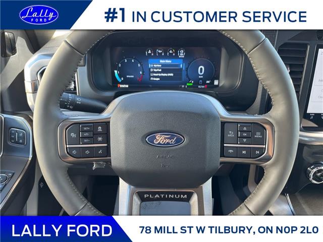2025 Ford F-150 Platinum (Stk: LFFF01332) in Tilbury - Image 11 of 15