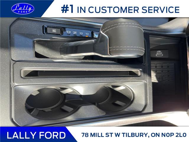 2025 Ford F-150 Platinum (Stk: LFFF01332) in Tilbury - Image 14 of 15