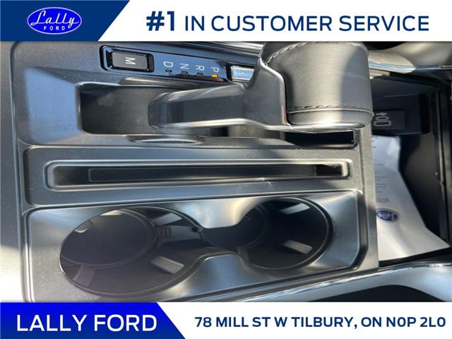 2025 Ford F-150 Lariat (Stk: LFFF01260) in Tilbury - Image 14 of 15