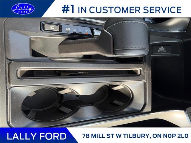 2025 Ford F-150 XLT (Stk: LFFF01251) in Tilbury - Image 14 of 15
