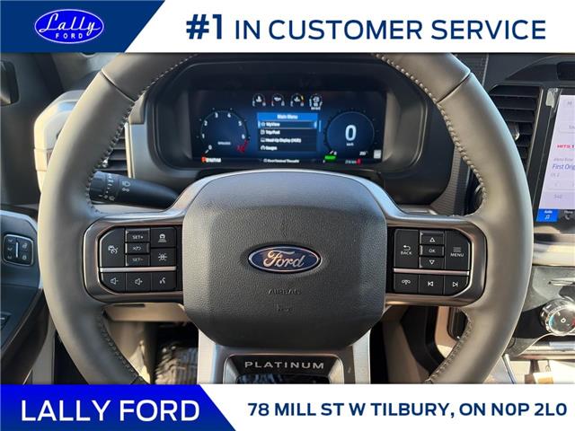 2025 Ford F-150 Platinum (Stk: LFFF01370) in Tilbury - Image 11 of 15