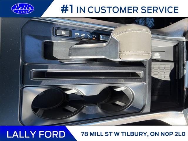 2025 Ford F-150 Platinum (Stk: LFFF01370) in Tilbury - Image 14 of 15