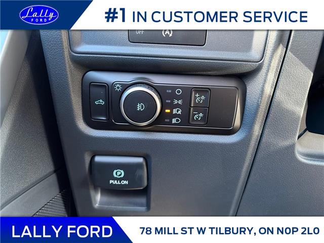 2025 Ford F-150 XLT (Stk: LFFF01360) in Tilbury - Image 9 of 15