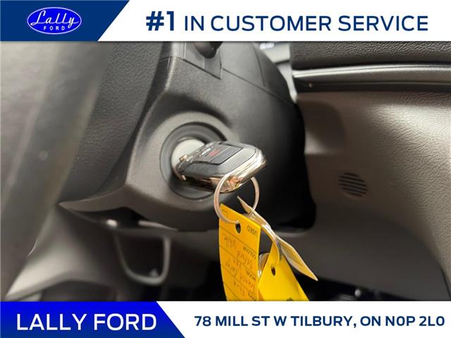 2024 Ford Transit-250 Cargo Base (Stk: SPTR00196) in Tilbury - Image 12 of 14