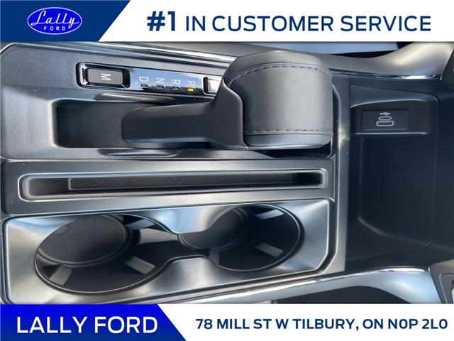 2025 Ford F-150 XLT (Stk: LFFF01115) in Tilbury - Image 14 of 15