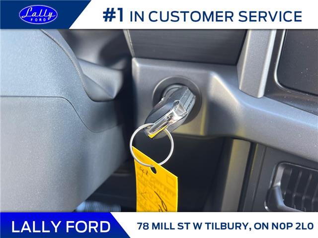 2025 Ford F-150 XLT (Stk: LFFF01249) in Tilbury - Image 15 of 17