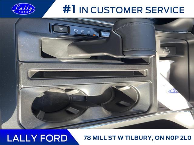 2025 Ford F-150 XLT (Stk: LFFF01249) in Tilbury - Image 17 of 17