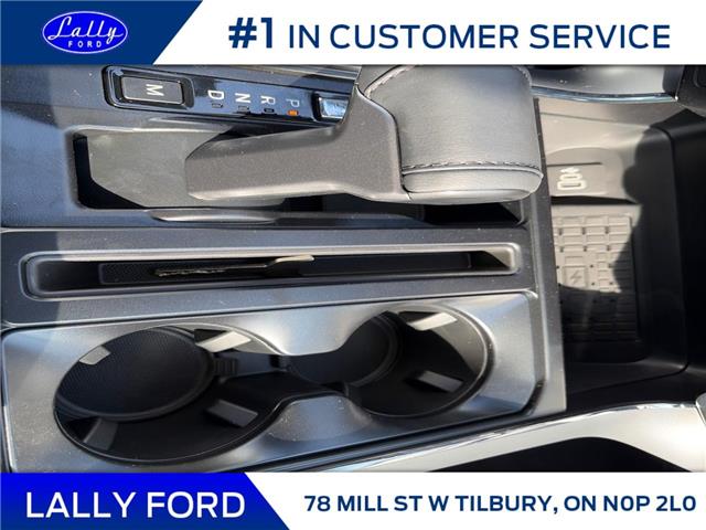 2025 Ford F-150 XLT (Stk: LFFF01375) in Tilbury - Image 14 of 15