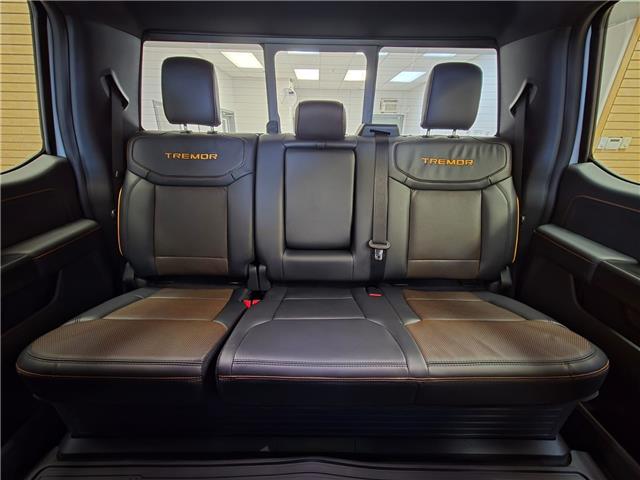 2025 Ford F-150 Tremor (Stk: NC52296) in Shellbrook - Image 20 of 22